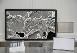Fosfatos como antimicrobianos y antivirales